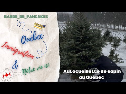 VLOG Québec : Cueillette de sapin et déco de Noël 