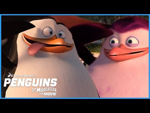 The Penguins Mysterious Egg?!🥚🐧🤔 | DreamWorks Madagascar