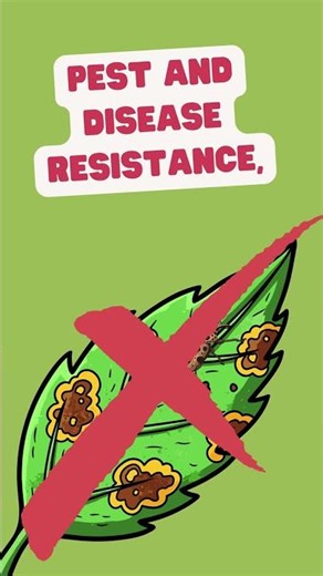 Ag 101: Plant Breeding