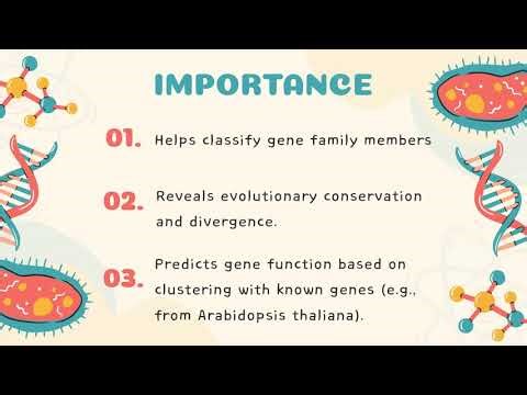 Genome-Wide Analysis of Trifolium repens | Clover Genomics Explained by Shafi Durrani