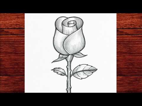 Easy Rose Pencil Drawing 🌹 How to Draw a Beautiful Rose Step by Step for Beginners