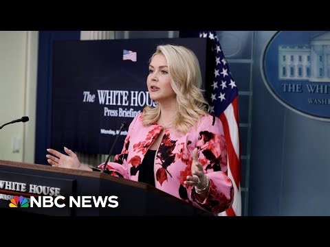 White House questioned about Trump's threat to target Iranian civilian infrastructure