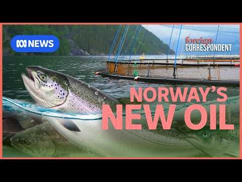 Norway's New Oil: How Norway sold the world on salmon | Foreign Correspondent
