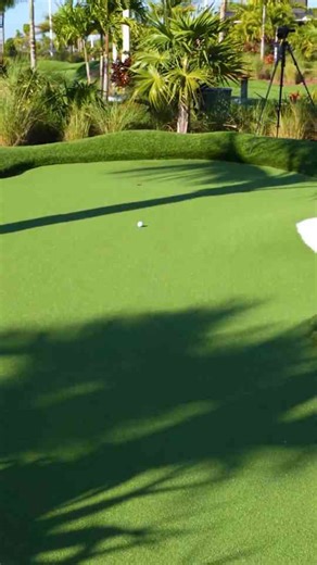 Tiger Woods mini golf hole