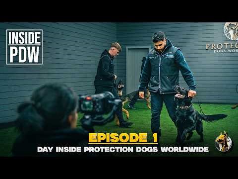 A Day Inside Protection Dogs Worldwide | INSIDE PDW Ep. 1