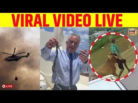Viral Video Live : Trending Video | Social Media Viral | YouTube Shorts Viral | Top Viral Video