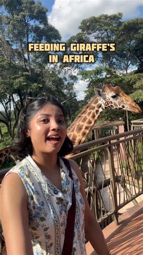 Welcome to Kenya 🇰🇪 Girrafe Evalo kita Pathadhe ila🥹 #minivlog #africa