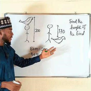 Can You Solve This Viral Bird & Person Height Puzzle?