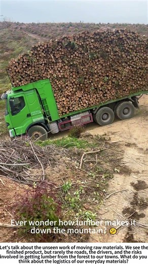 The Mountain Haul: Moving Timber Down Steep Slopes 🪵⛰️