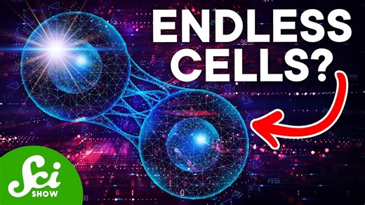 The rise and fall of stem cell research