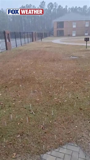SOUND UP 🔊: Severe storms passed through southern Alabama on Saturday, and some areas saw hail up to the size of a golf ball. Video shows hail coming down near Alabama’s southern border with the Florida Panhandle. #foxweather #alabama #hail | FOX Weather