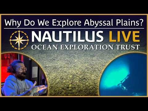 Why Do We Explore Abyssal Plains? | Nautilus Live