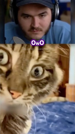 Schlatt Was Completely TERRIFIED 😭