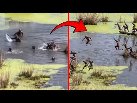 Real Footage of Man Interacting With Cryptids Nobody Can Explain
