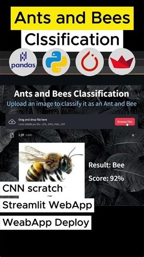 Ants vs Bees | CNN Image Classification #deeplearning #machinelearning #computervision #ml #opencv
