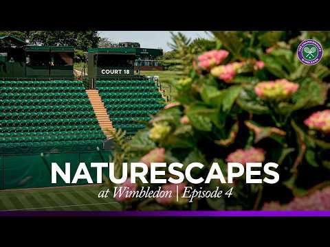 Wimbledon Naturescapes | 30 minutes of serenity by Court 18, including a little guest 🐝