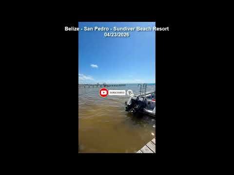 🌿🌊SARGASSUM ARRIVAL ALERT 2026 - 👉Belize - San Pedro