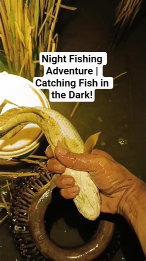 Night Fishing Adventure | Catching Fish in the Dark!