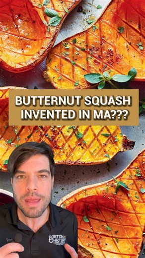 Boston History Company on Instagram: "This vegetable was invented in Massachusetts?! #boston #massachusetts #history #wow #storytime #interesting #nonfiction #funfact #didyouknow #squash #MAinvention #invention"