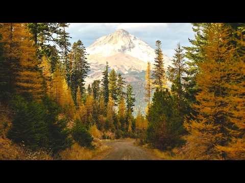 Before the Throne of God Above (Instrumental) Traditional Peaceful Hymn arranged by Tim Janis
