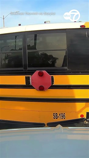 Truck driver avoids crash as school bus appears to runs red light