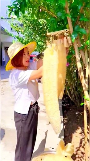 How to earn money from bottle gourd! #shortvideos