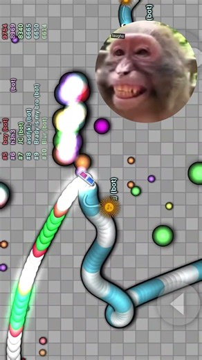 Slither.io Biggest Snake 🐍 20kell Snake Best game #gameplay