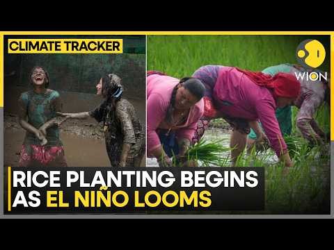 Nepal Braces For Below-average Rainfall | Climate Tracker | WION News