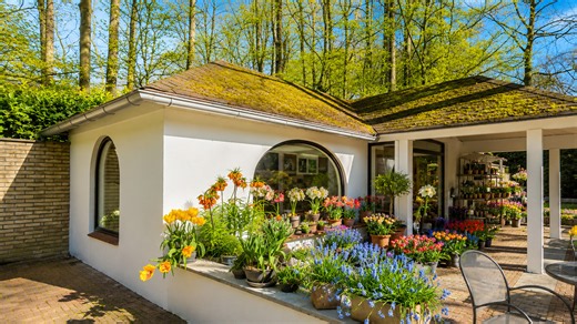 Vườn Keukenhof tỏa sáng như thiên đường hoa của Hà Lan (4K)