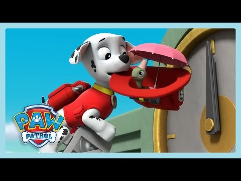 Rescate de tortugas | Paw Patrol | Dibujos animados para niños | WildBrain Ninos
