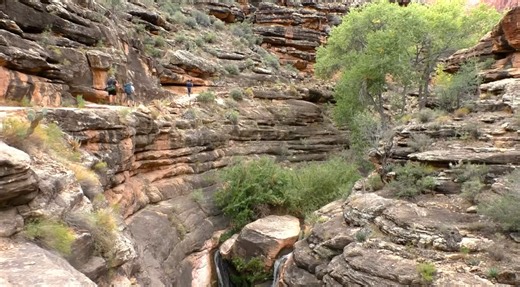 Young adult dies of heat-related illness while hiking in Grand Canyon National Park