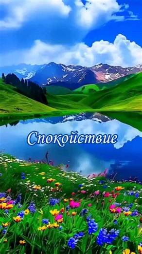 Мой мир!JW.ORG (@kgh4162)’s videos with оригинальный звук - ꧁🏵️МИЛА🏵️꧂