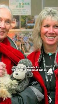 Rescued Chimp Pauses To Hug Jane Goodall Before Returning To The Wild | The Dodo