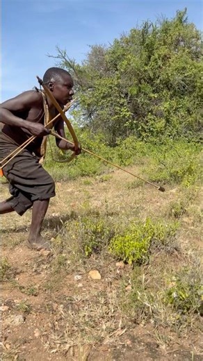 Sneaking skills #hunters #africa #africanculture #wildlife