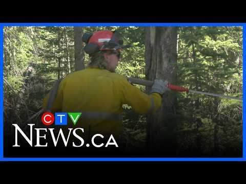 New wildfire fighting teams ready for the call