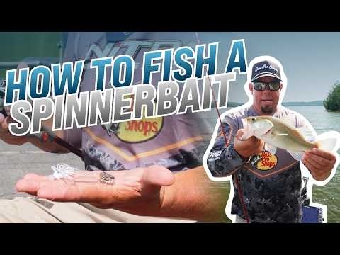 How to Fish a Spinnerbait! | Chris Lane
