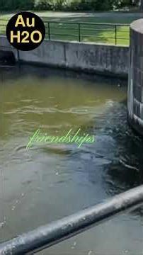 SCHIZOID PERSONALITY DISORDER