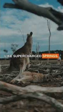 Why Kangaroos Can't Walk Backward