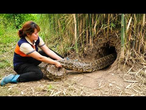 Single Woman Tried Her Best To Pull The Cobra Out of its Hole