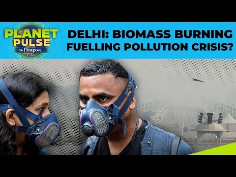 Biomass Burning a Major Driver of New Delhi’s Winter Air Pollution: Think Tank | Planet Pulse