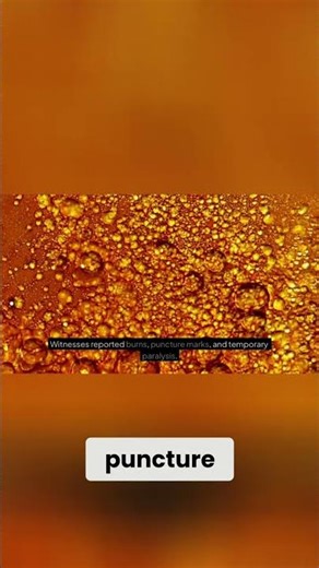 Brazil UFO Invasion: Military Cover-Up EXPOSED! #shorts