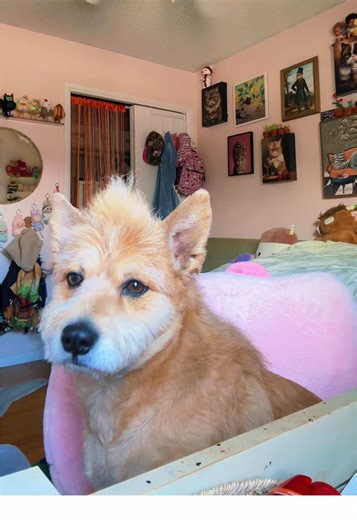 Get Ready With Me: Adoring Iggy Inspired Looks