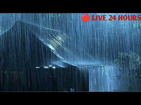Fall Asleep in Heavy Rain - Thunderstorm Rain Sounds for Deep Sleep - Sleeping Rain😴