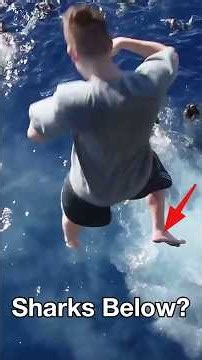 Why Does the Navy Bring a Rifle to the Pool?