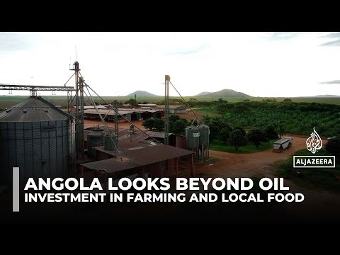 Angola bets on farming to reduce imports and reliance on oil revenues