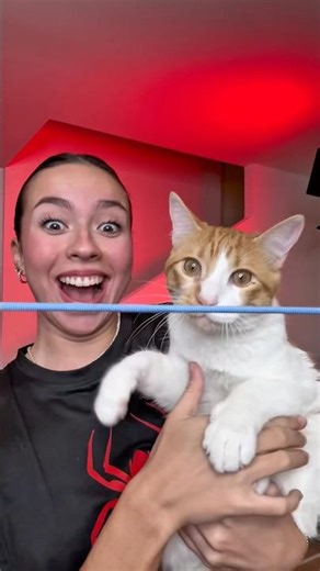 Qué tal lo hizo Simba? ❤️