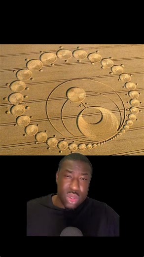 The meaning behind crop circles #cropcircles #UFO #aliens | One foul wow
