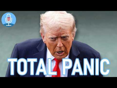 Epstein REVELATIONS EXPOSE What Trump was DESPERATE TO HIDE