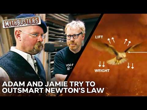 If All The Birds In A Truck Fly At Once, Does The Truck Weigh Less? | MythBusters