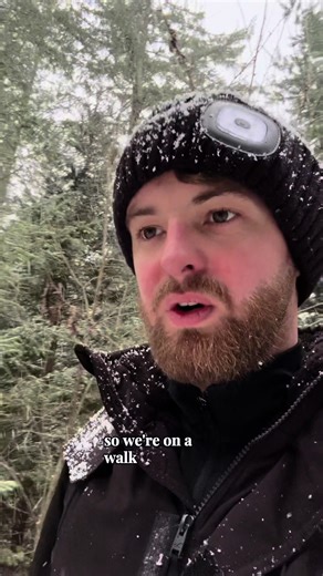 Meet Robert the Robyn: Your Friendly Neighborhood Bird